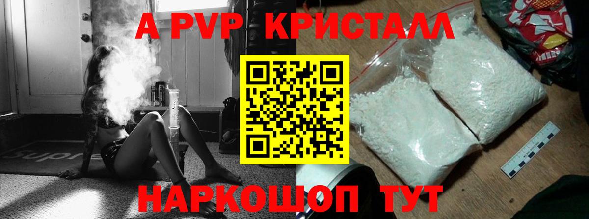 A PVP СК КРИС Прокопьевск
