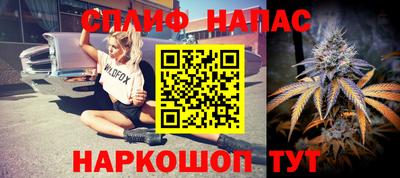 скорость Будённовск