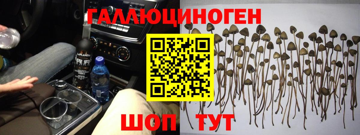 Псилоцибиновые грибы мицелий  Вход с VPN  Псилоцибиновые грибы ЛСД  Прокопьевск 